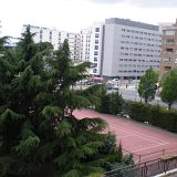 DSCN1150 (Medium)
